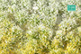 Blossom tufts (Spring) kevät 1/45