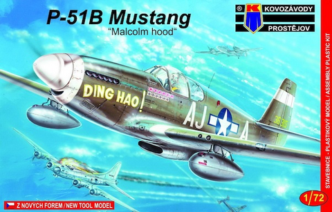 P-51B Mustang (Malcom Hood)  1/72