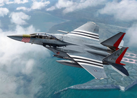 McDonnell-Douglas F-15E Strike Eagle  1/72