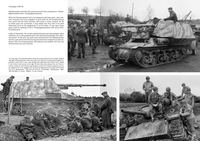 Panzerjäger, Weapons and Organization of Anti-Tank  Units