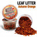 Leaf Litter Autumn Orange