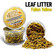 Leaf Litter Fallen Yellow