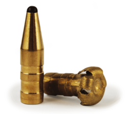 Fox Bullet 30-06  180 gr    (11,7gr)