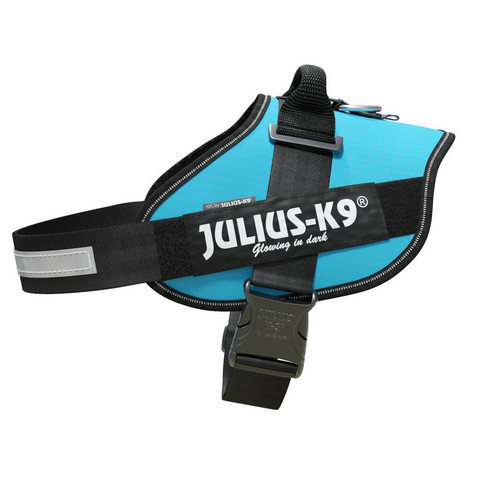 Julius-K9® IDC® Power koiran valjaat, Aqua alkaen 21.90€