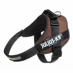 Julius-K9® IDC® Power koiran valjaat, Ruskea alkaen 21.90€