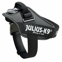 Julius-K9® IDC® Power koiran valjaat, Tummanharmaa alkaen 21.90€