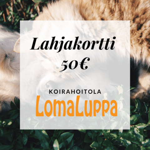 Lahjakortti Koirahoitolaan 50€