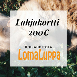 Lahjakortti Koirahoitolaan 200€