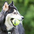 Air Kong Squeaker Tennis Ball