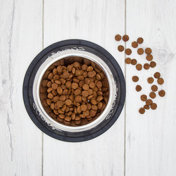 CLINIVET Large Breed Puppy 7kg - Vehnätön penturuoka isojen rotujen pennuille ja emoille
