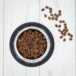 CLINIVET Grain Free Junior & Adult Sensitive Fish 2 kg - Viljaton kala-kasvis koiranruoka