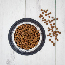 CLINIVET Adult Senior 14 kg - Vehnätön senioriruoka ikääntyville koirille