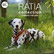RATIA 8 shape valjas oranssi.