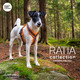 RATIA 8 shape valjas oranssi.