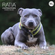 RATIA SOFT pehmopanta lime