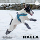 HALLA-Fleecetossut harmaa