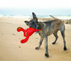 KONG Belly Flops Lobster
