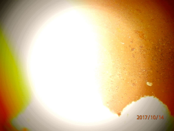 Suomi ja maailma: eriäviä aikalinjoja 2024 – ja luoteistähden hohde