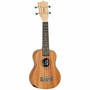 Tanglewood TWT1 Natural Satin sopraanoukulele (uusi)