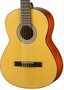 Walden N450W Classical Guitar (new)