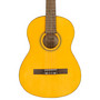 ESC80 Educational Series + gig bag (new)