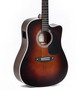 Sigma DTC-1E-SB ELECTRO-ACOUSTIC (new)