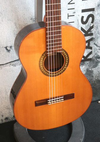 Cuenca 45 Ziricote - Classical Guitar+  case (used)