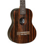 Tanglewood TWT19 Natural Satin tenoriukulele (uusi)
