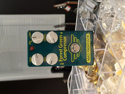 MAD PROFESSOR Forest Green Compressor (used)
