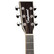 Tanglewood TW5 Black Shadow Electric-Acoustic Guitar (new)