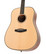 Tanglewood TWD ST Natural  Acoustic (new)