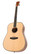 Tanglewood TWD ST Natural  Acoustic (new)