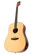Tanglewood TWD STE Natural (new)