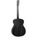 Tanglewood Blackbird TWBB O (new)