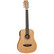 Tanglewood TWR2 TE Natural Satin Electric-Acoustic (new)