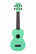 KALA Waterman Matte Green Concert (new)
