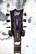 ESP LTD Viper-1000 See Thru Purple Sunburst (used)
