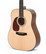 Sigma DM-1L Left Handed (new)