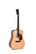 SIGMA DM-1 Acoustic Guitar (new)
