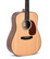 SIGMA DM-1 Acoustic Guitar (new)