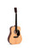 Sigma DM-ST akustinen teräskielinen kitara (uusi)