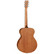 Tanglewood TWR2-O Acoustic (new)