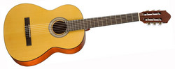 Walden N350W Classical Guitar (new)