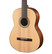 Walden N550EW (new)
