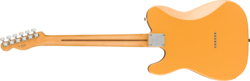 Fender Player Plus Nashville Telecaster Butterscotch Blonde (new)
