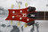 PRS SE Zach Myers (used)