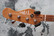Tribe Shob 4, Signature Passive bass (used)