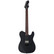 ESP LTD TE-201 Black Satin Electric Guitar (new)