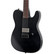 ESP LTD TE-201 Black Satin Electric Guitar (new)
