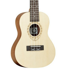 Tanglewood TWT4 Natural Satin Concert (new)